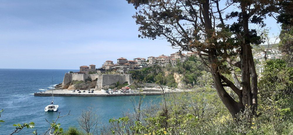 Photo #7363797