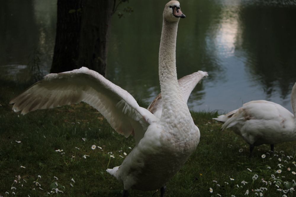 Фотография автора Никита Гутор