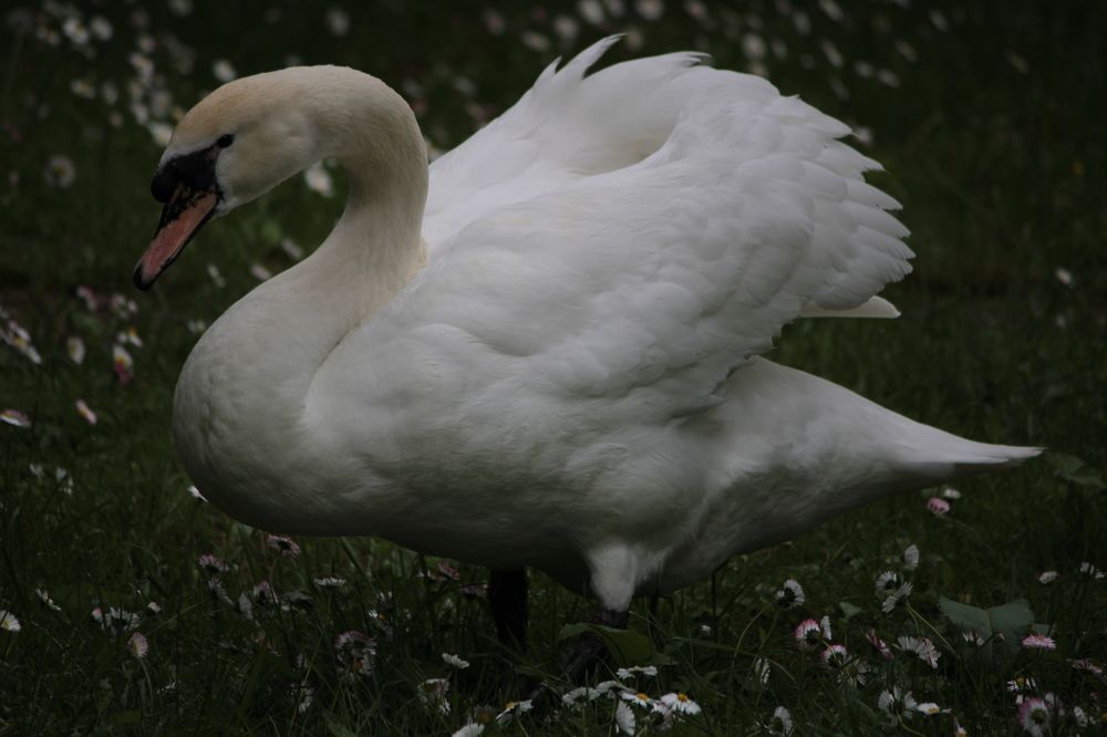 Фотография автора Никита Гутор