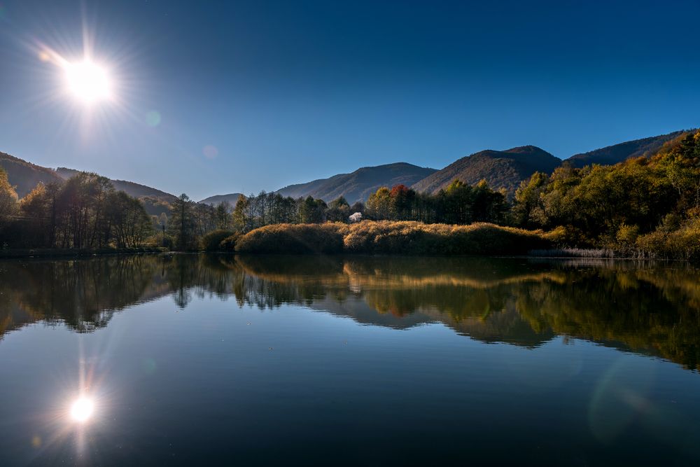 Фотография автора Alena Geršičová