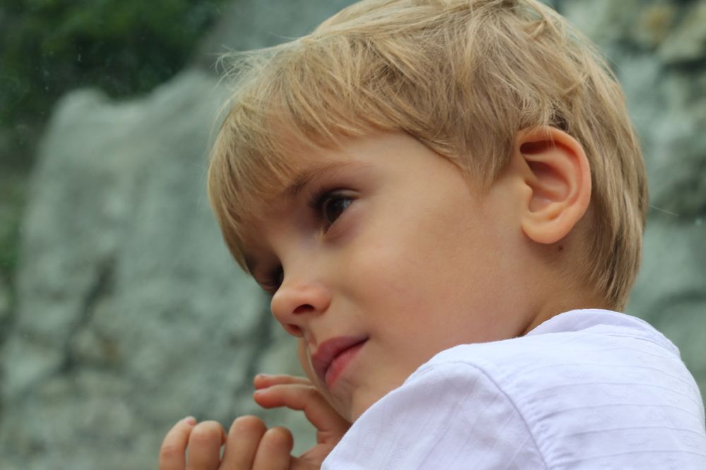 Photograph by Мария Баннова