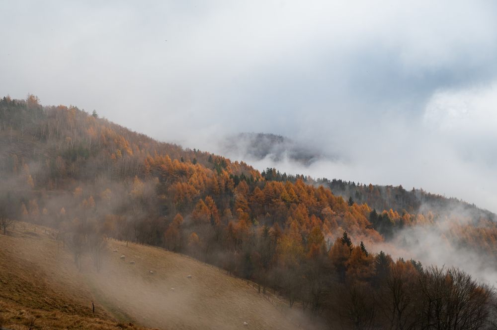 Photograph by Alena Bednarova