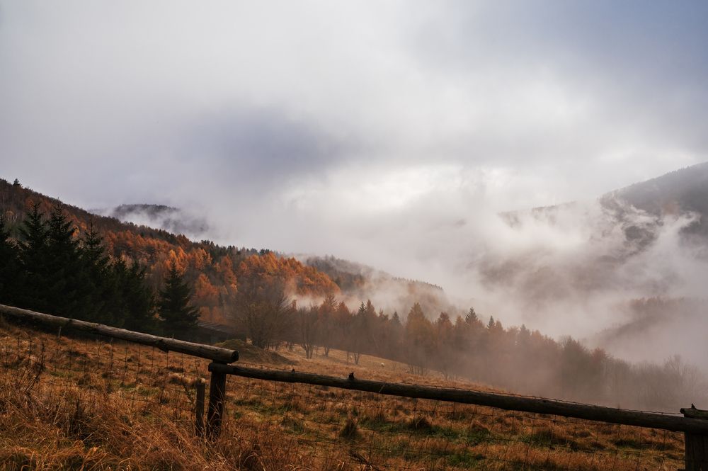 Photograph by Alena Bednarova