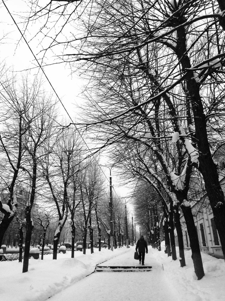 Photograph by Анастасия Озсой