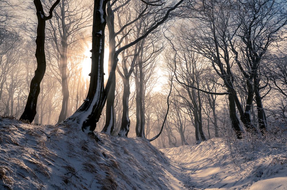 Photograph by Alena Bednarova