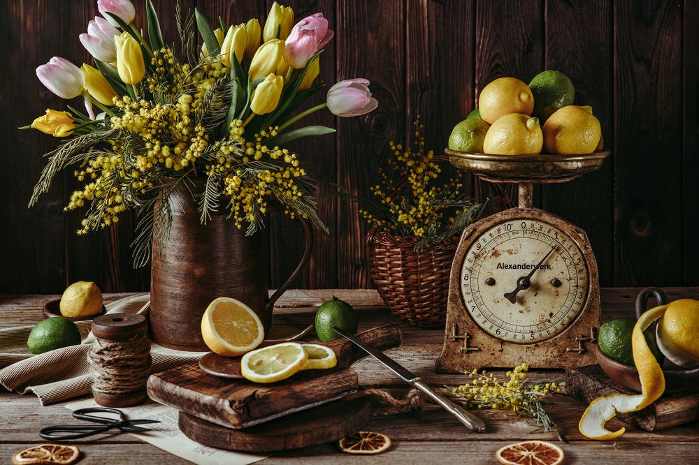 Photograph by Anastasia Steiner