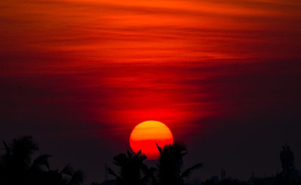 Photograph by Mathew Nishanth