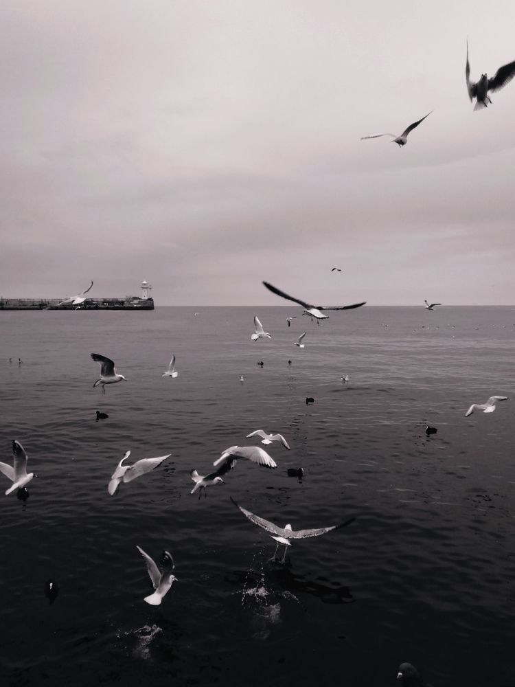 Photo #7364099