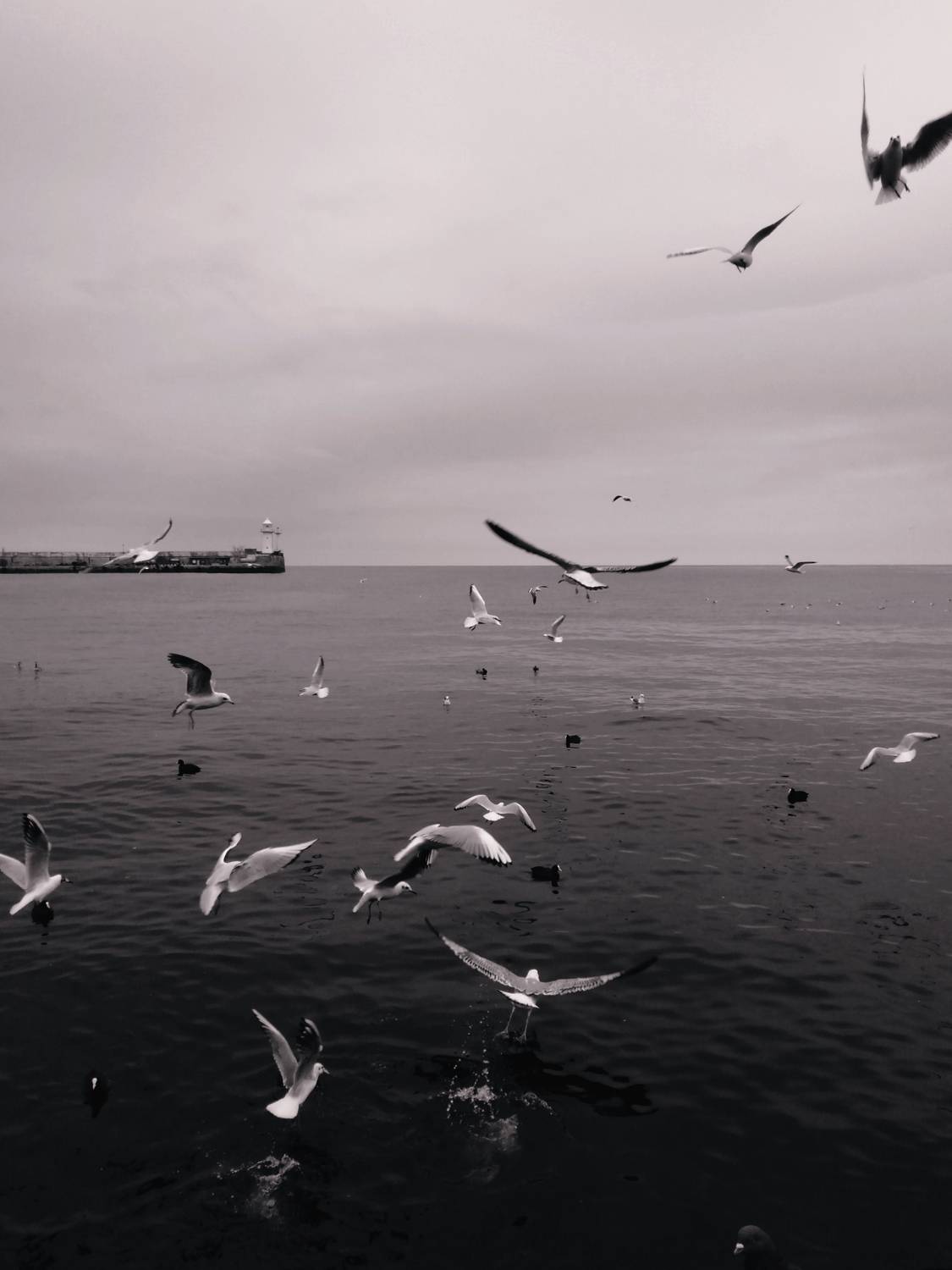 Photo #7364099