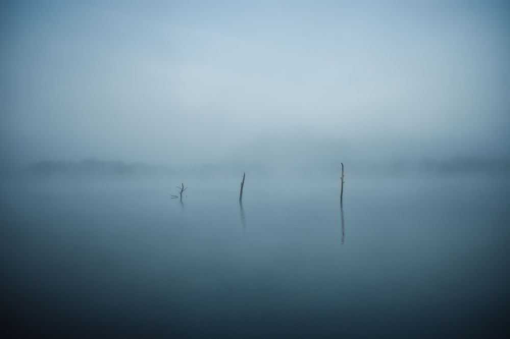 Фотография автора Alan Kelly