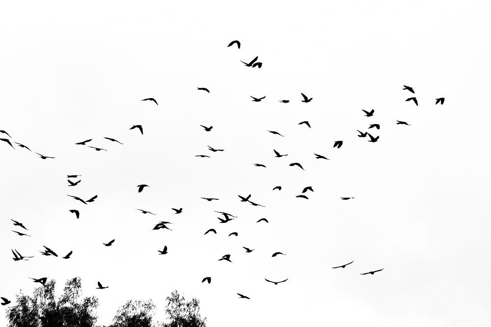 Photograph by Teresa MoliNaro