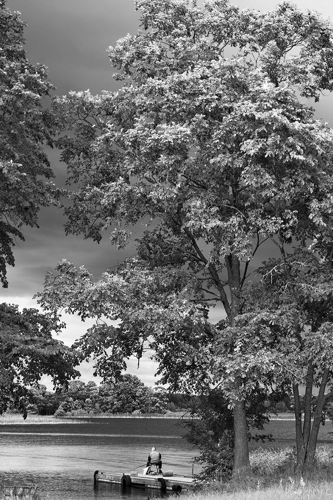 Фотография автора Alexey Drozdov