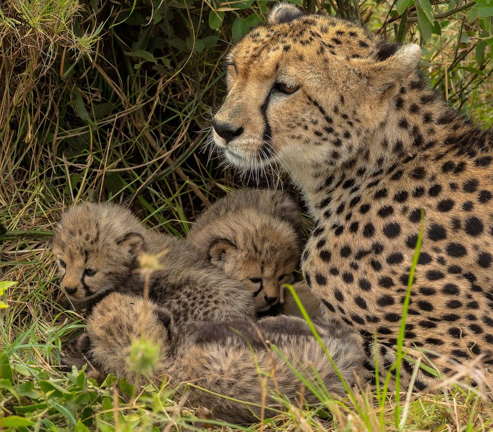 Photograph by solomon rajkumar rajasekaran