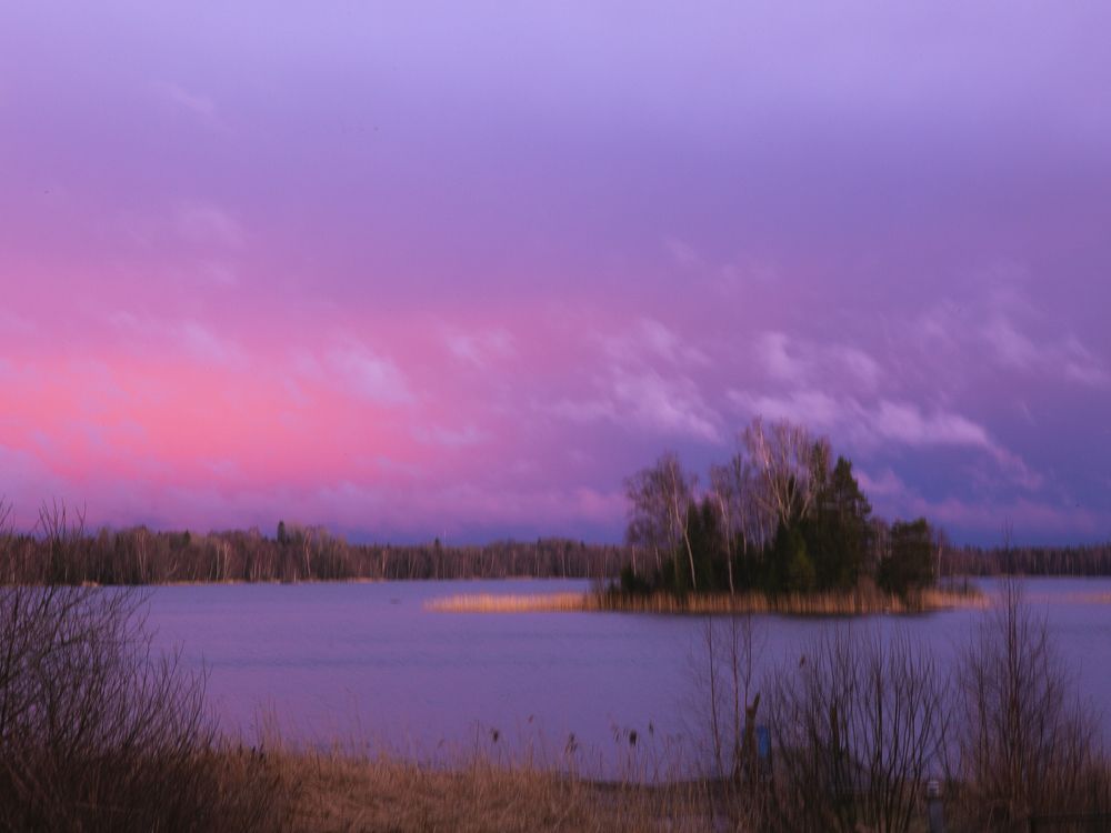 Photograph by Liudmila Drake