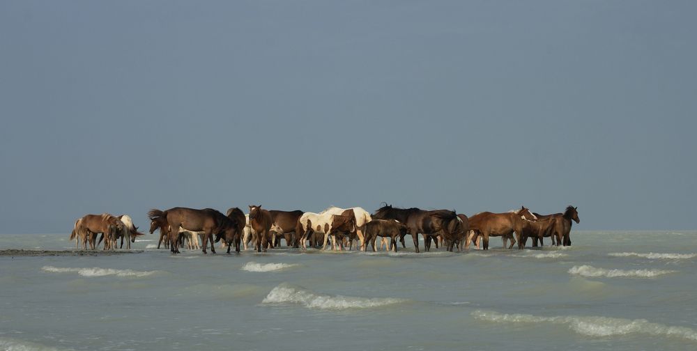 Photograph by Пётр Леонов