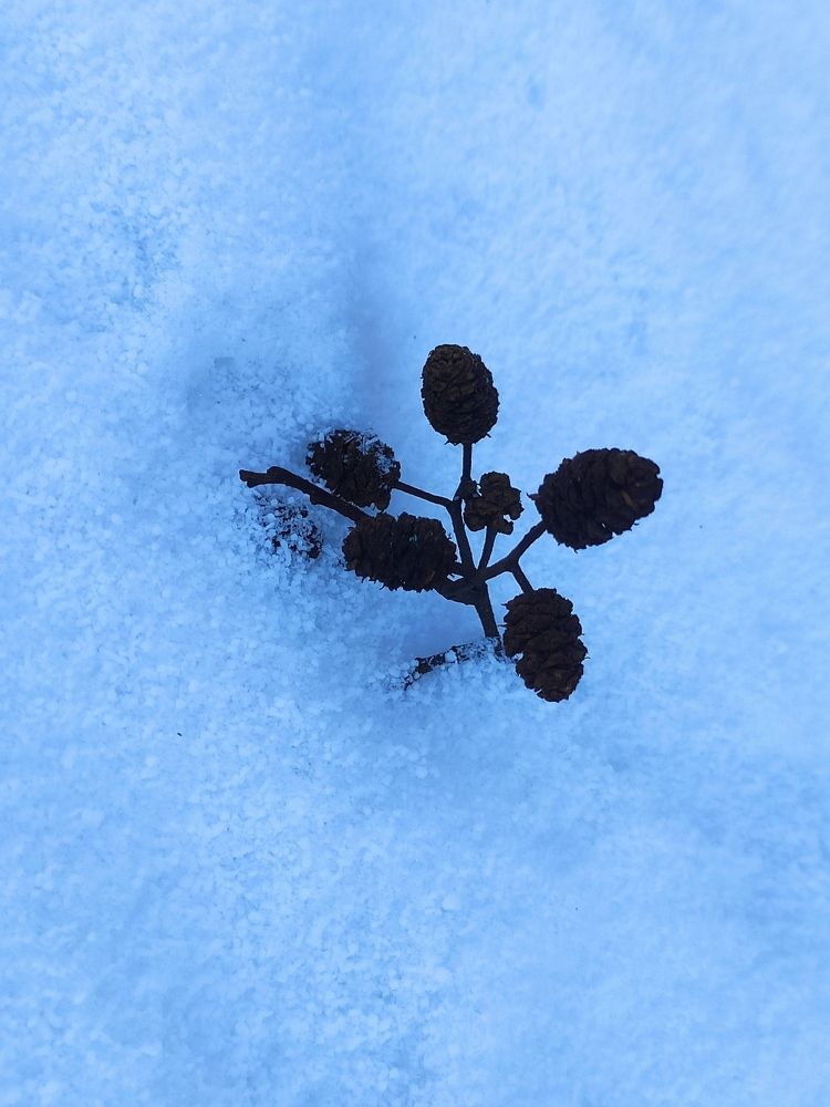 Photograph by Оксана Бутрим