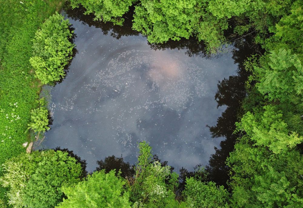 Photograph by Павел Минкевич