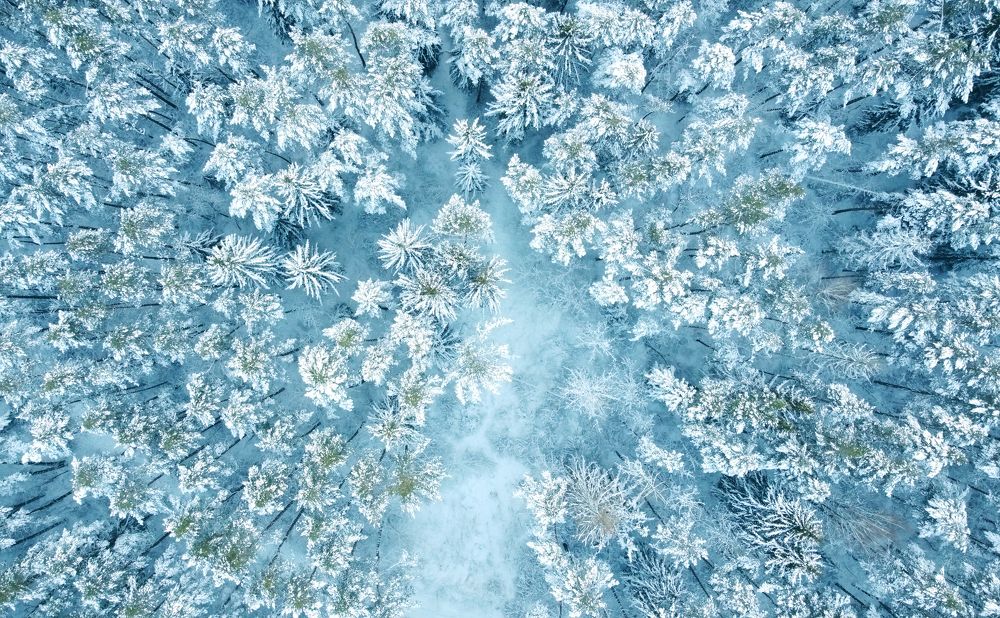 Photograph by Павел Минкевич