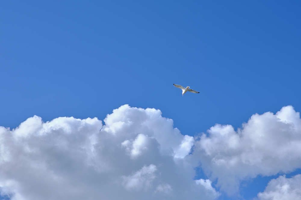 Photograph by Михаил Нестеренко