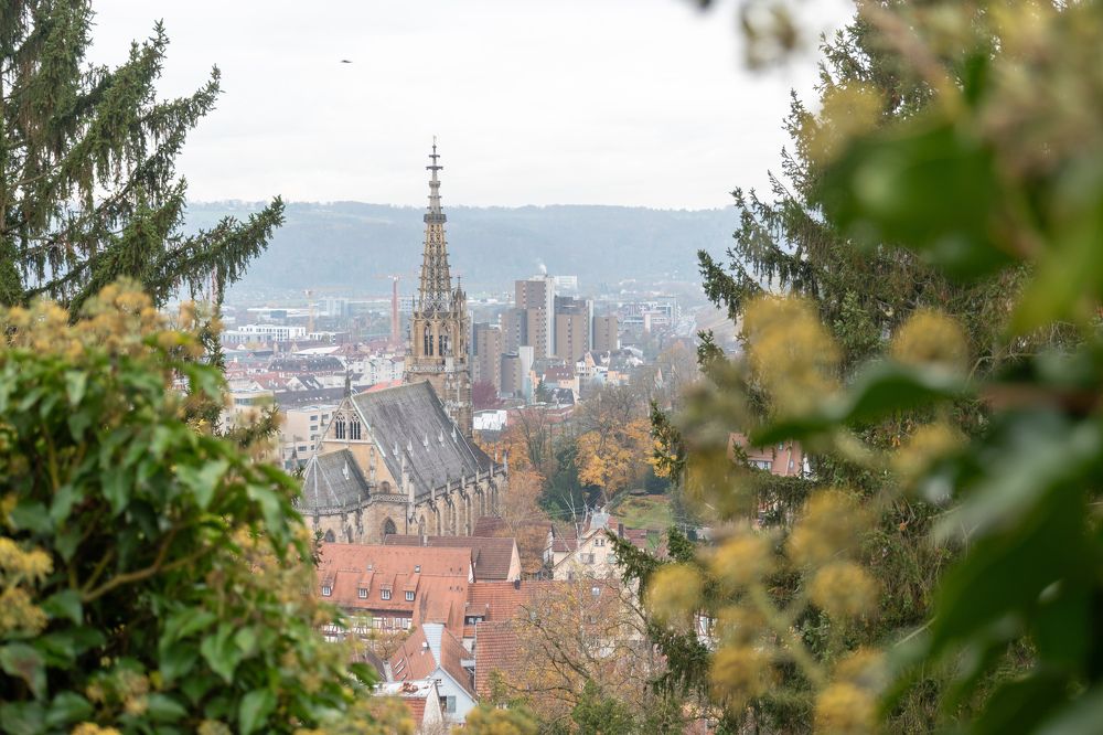 Photograph by Людмила Комарова