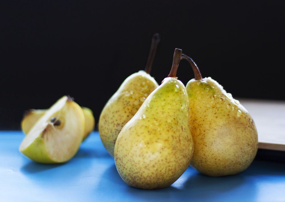 Photograph by svetin84@inbox.ru