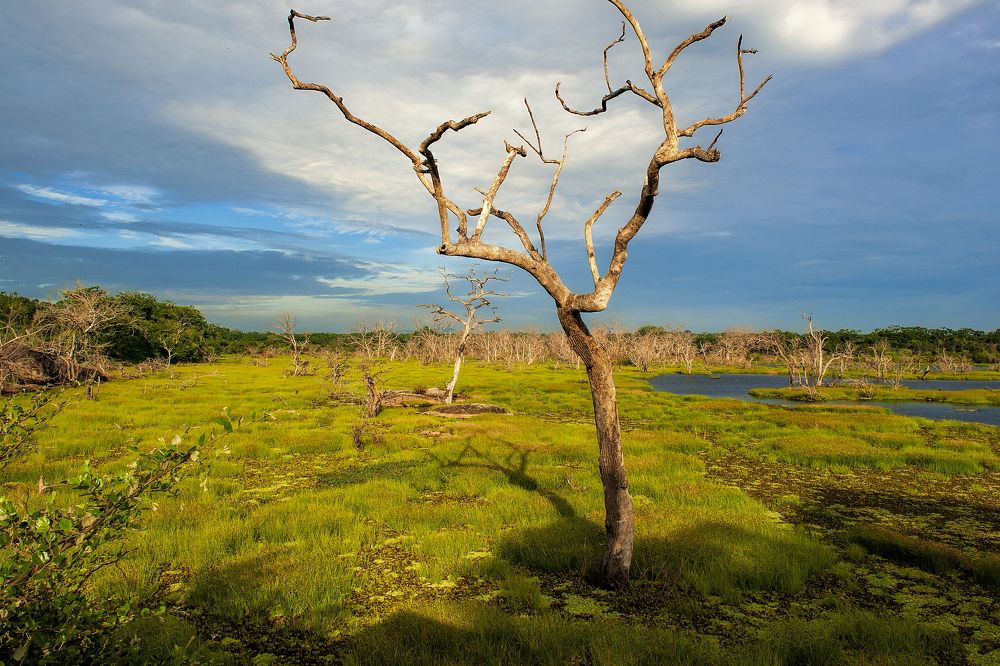 Photograph by Irina Grigoryeva