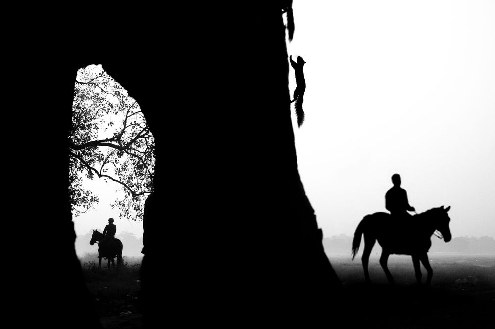 Photograph by Ananway Ganguly