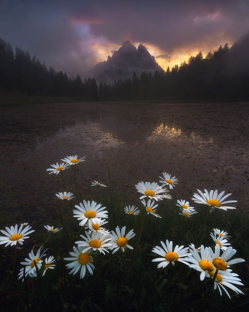 Фотография автора Peter Dužek