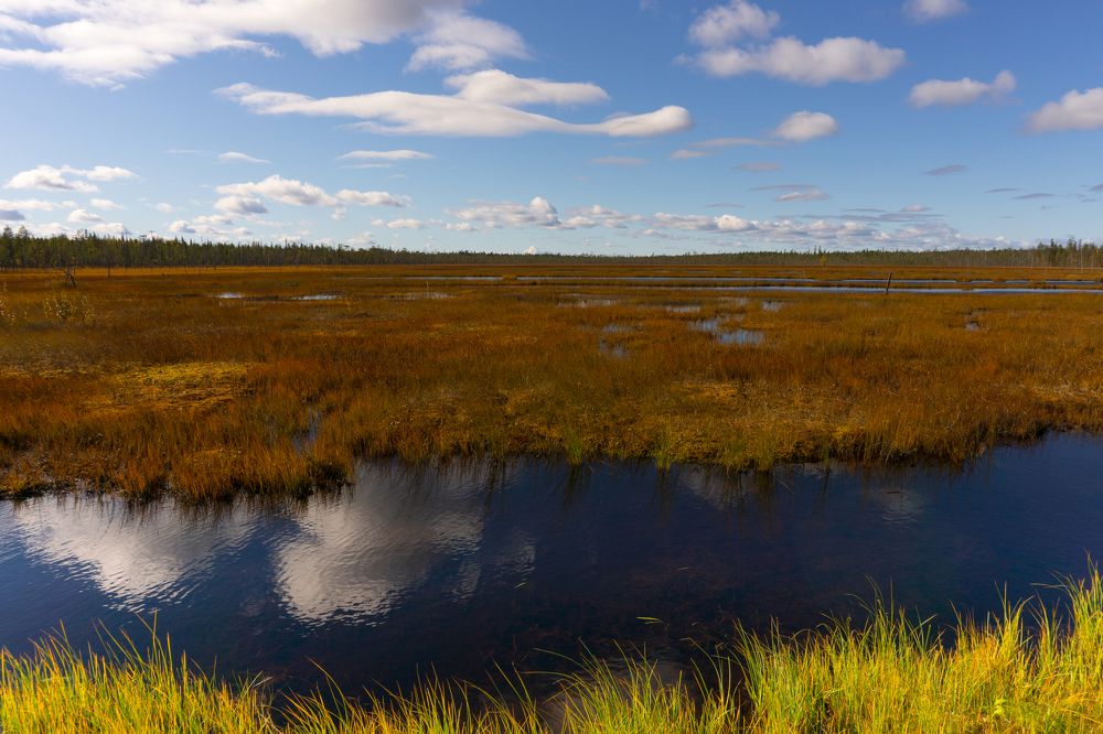 Photograph by Ольга Юрина