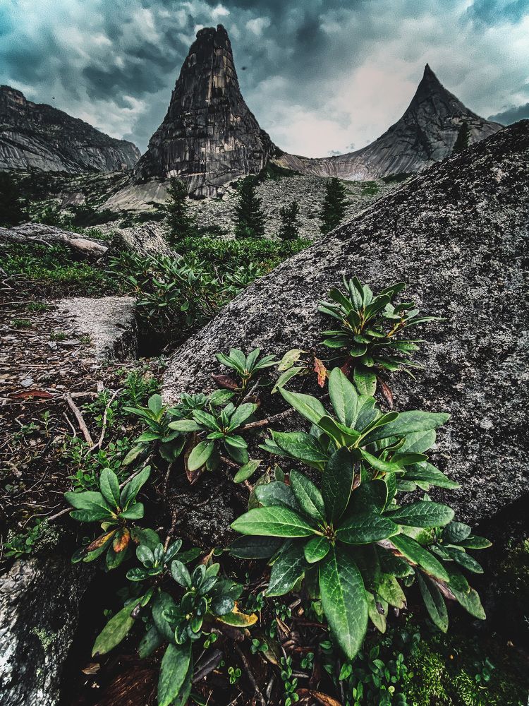 Photograph by Могилевич Elena