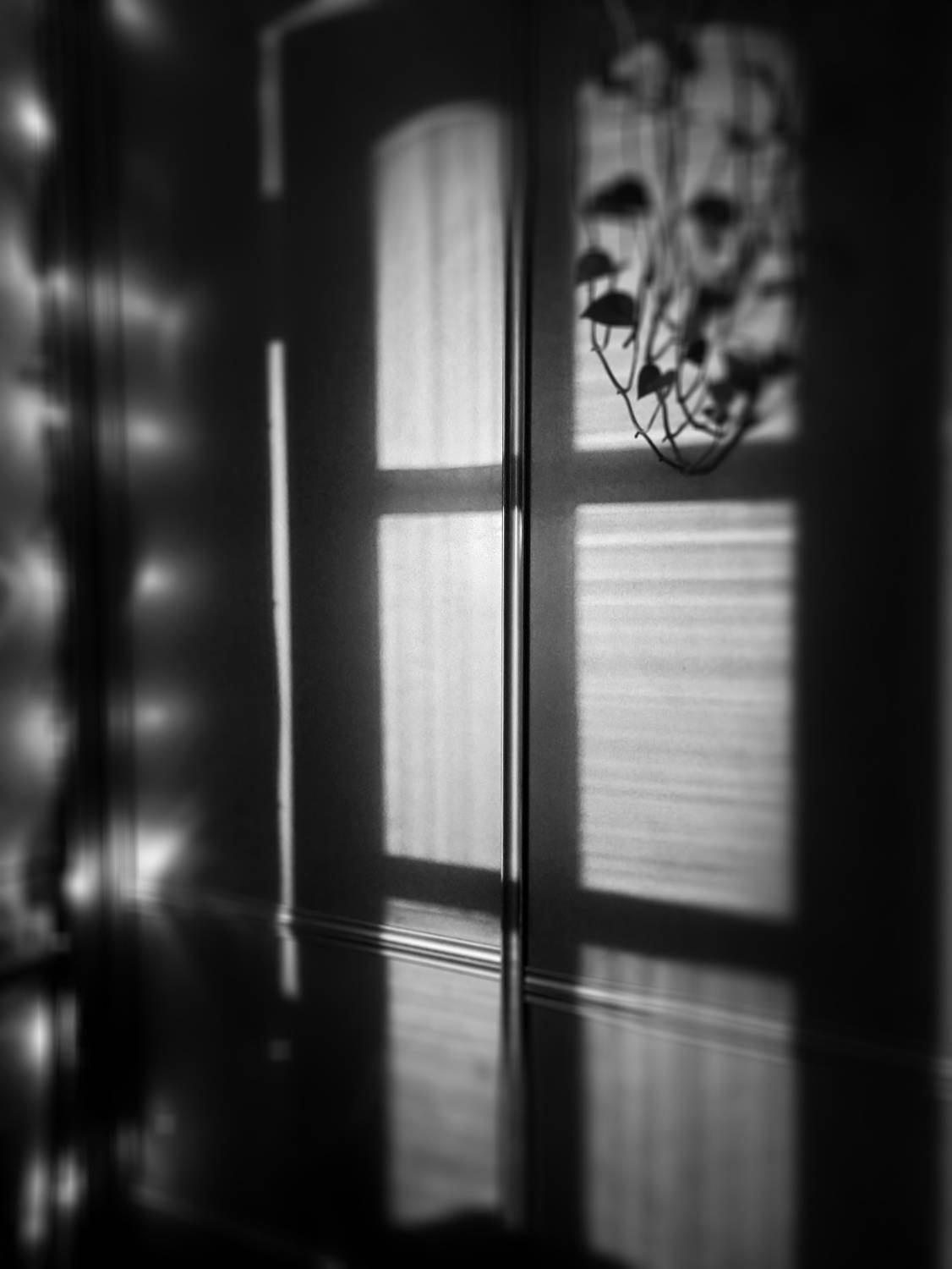 Photo #7364777