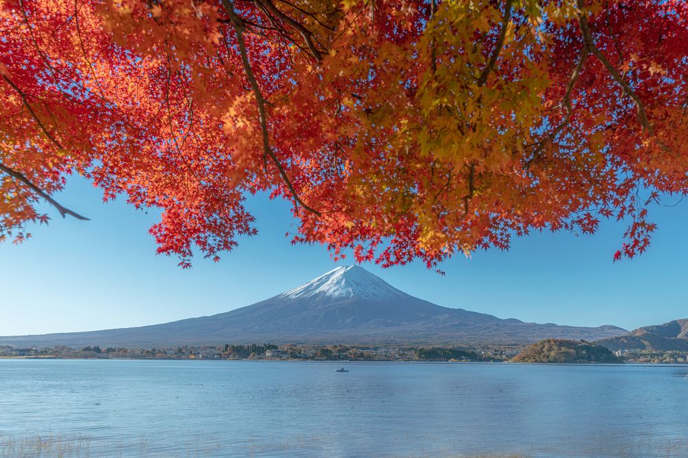 Фотография автора Lương Quyền