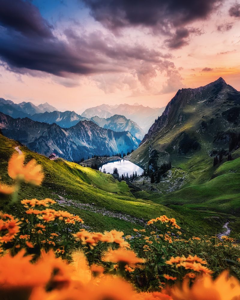 Фотография автора Tomas Havel