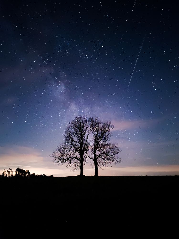 Фотография автора Tomas Havel