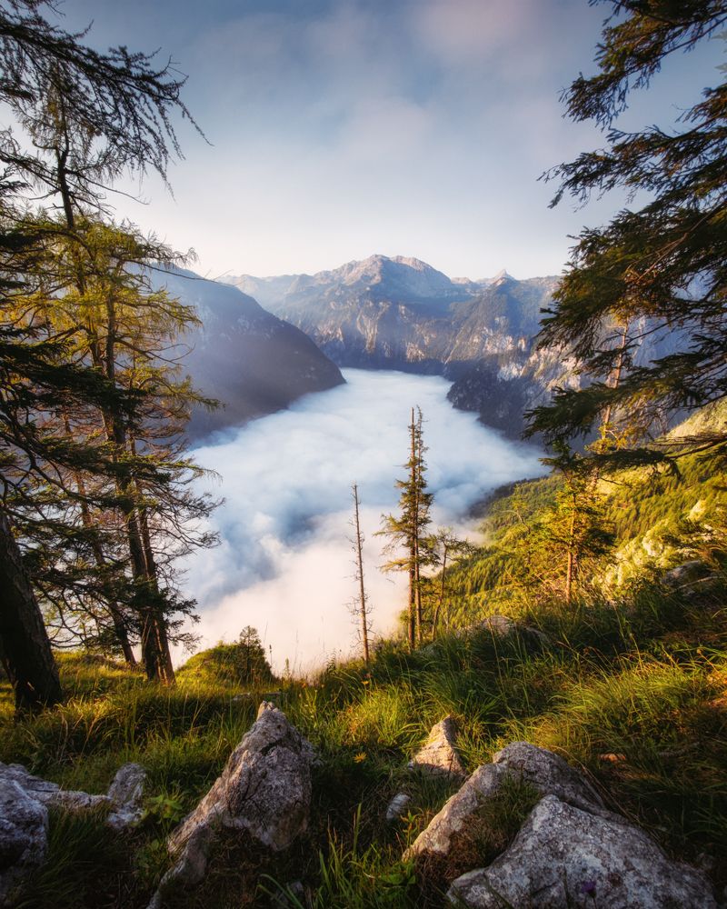 Фотография автора Tomas Havel