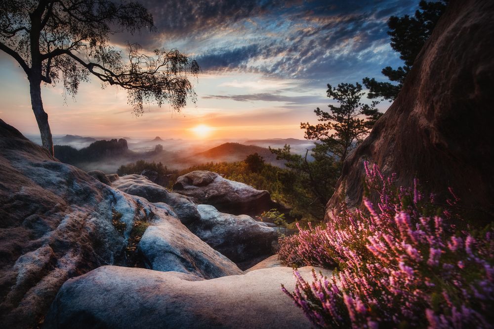 Фотография автора Tomas Havel