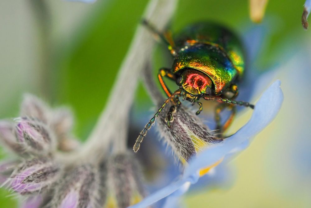 Photograph by Линк Ольга