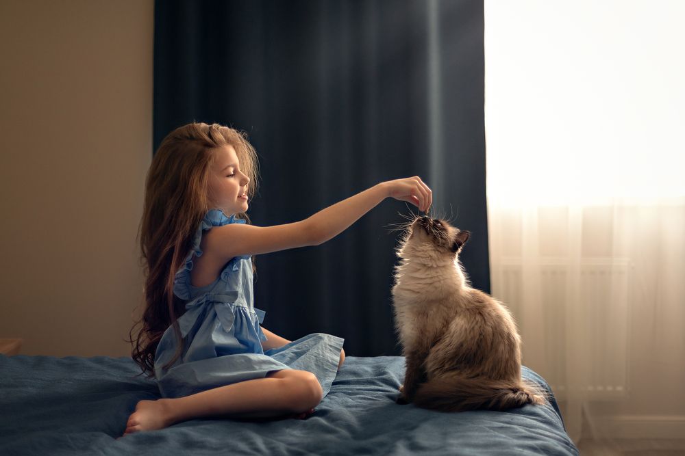 Photograph by Надежда Чернышова