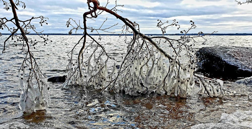 Photograph by Елена Блинова