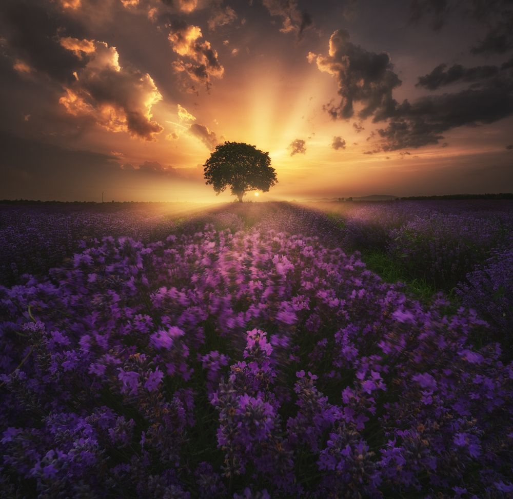 Photograph by Красимир Матаров