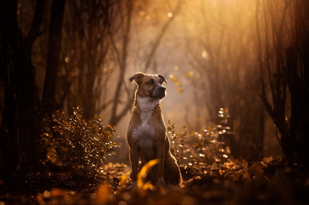 Photograph by Alexandre Marques