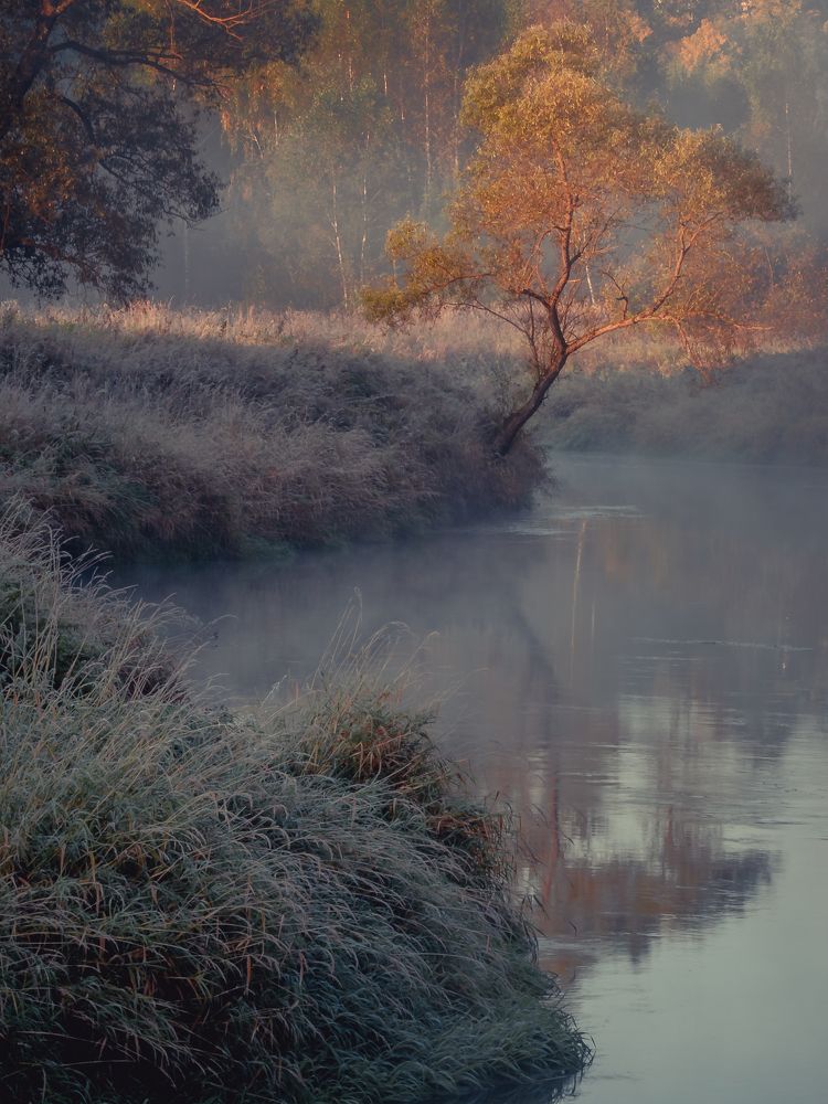 Dawn on Istra. Рассвет на Истре.