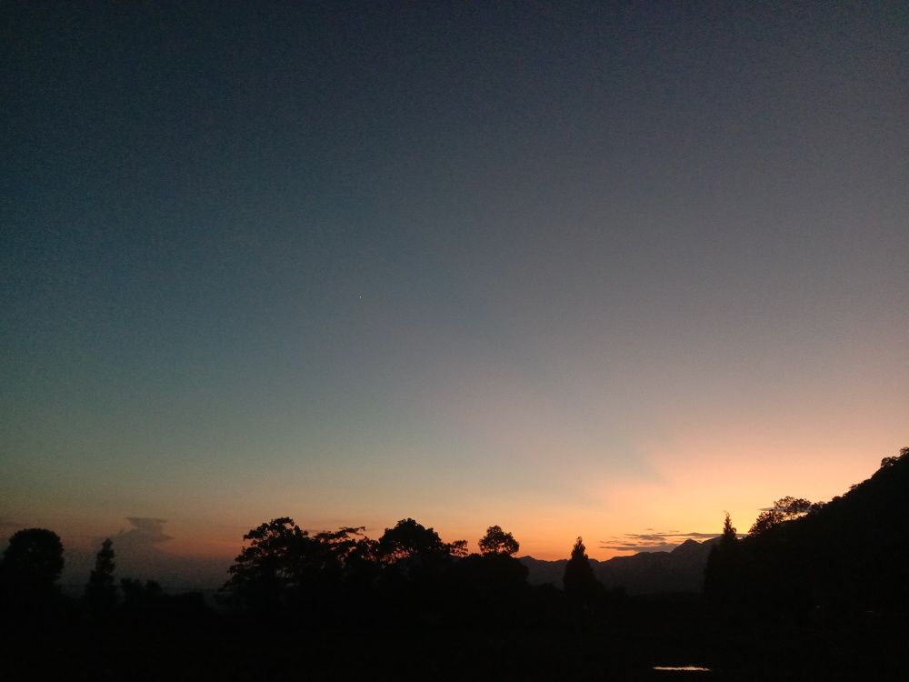 Photo #7364988