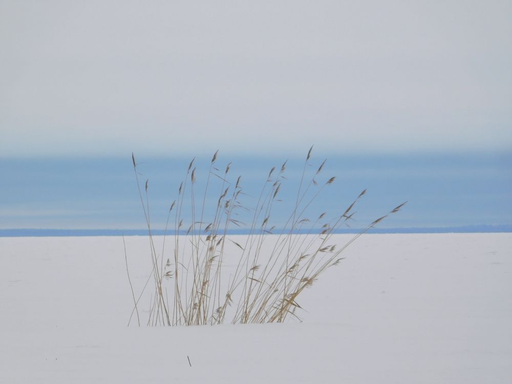 Photograph by Елена Грошева