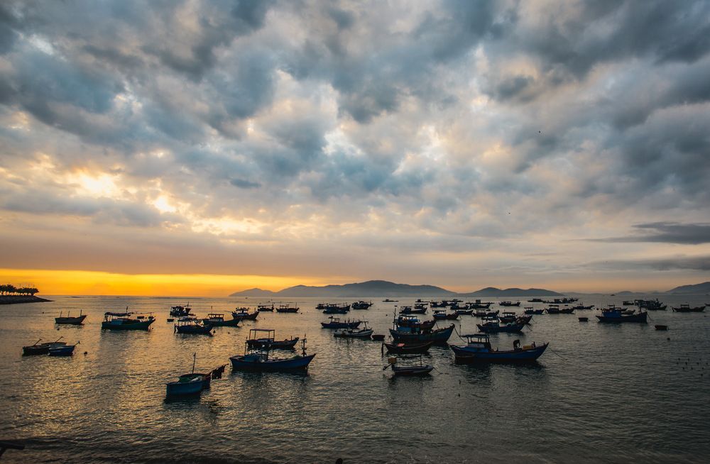 Photograph by Dũng Phùng