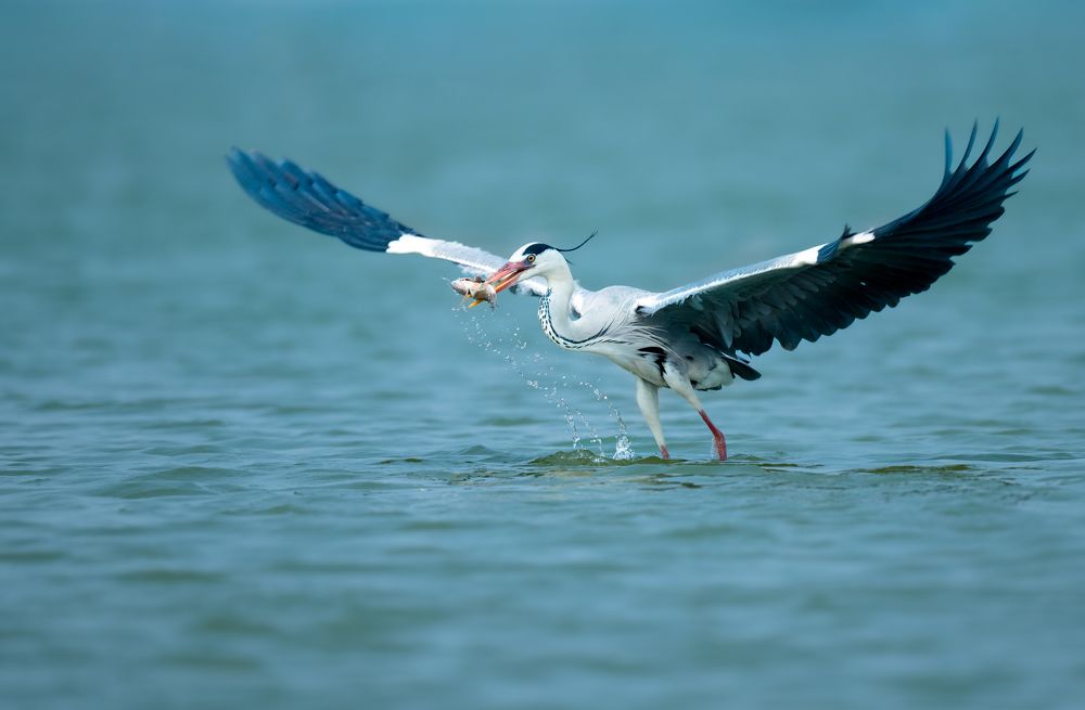 Photograph by Anindita Datta Muhuri