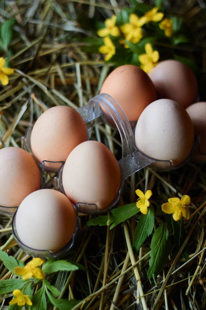 Photograph by Светлана Калимгулова