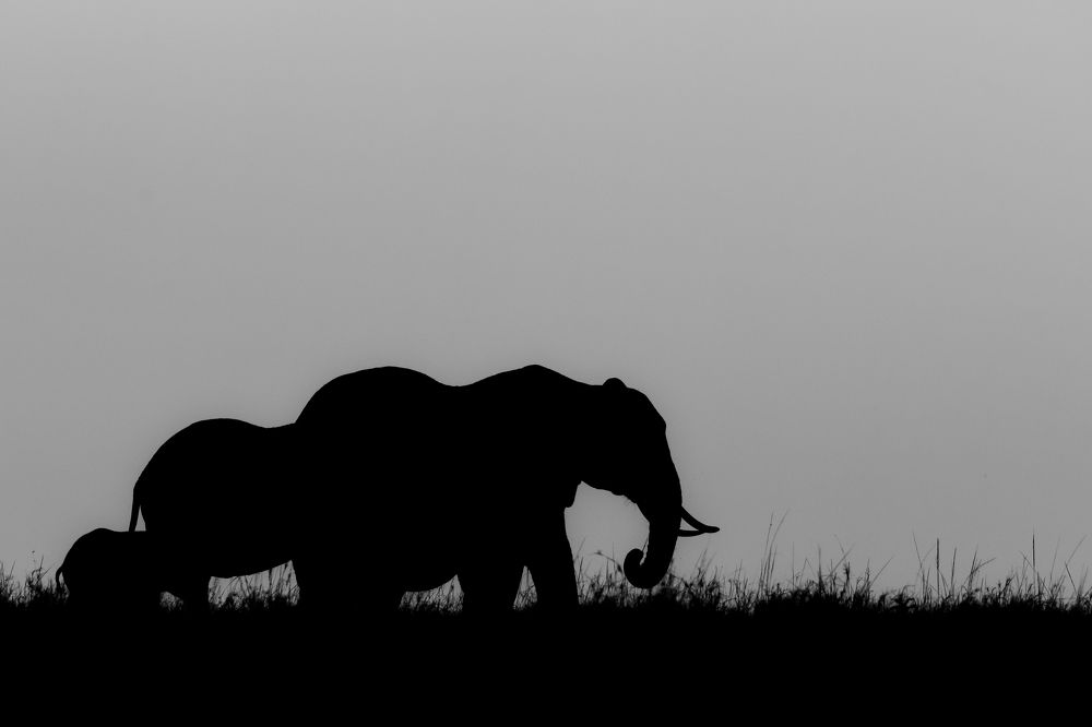 Фотография автора Hari Govindarajulu