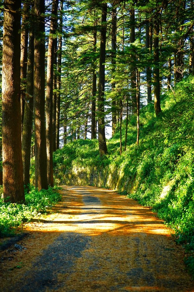 Photograph by TARUN KUMAR