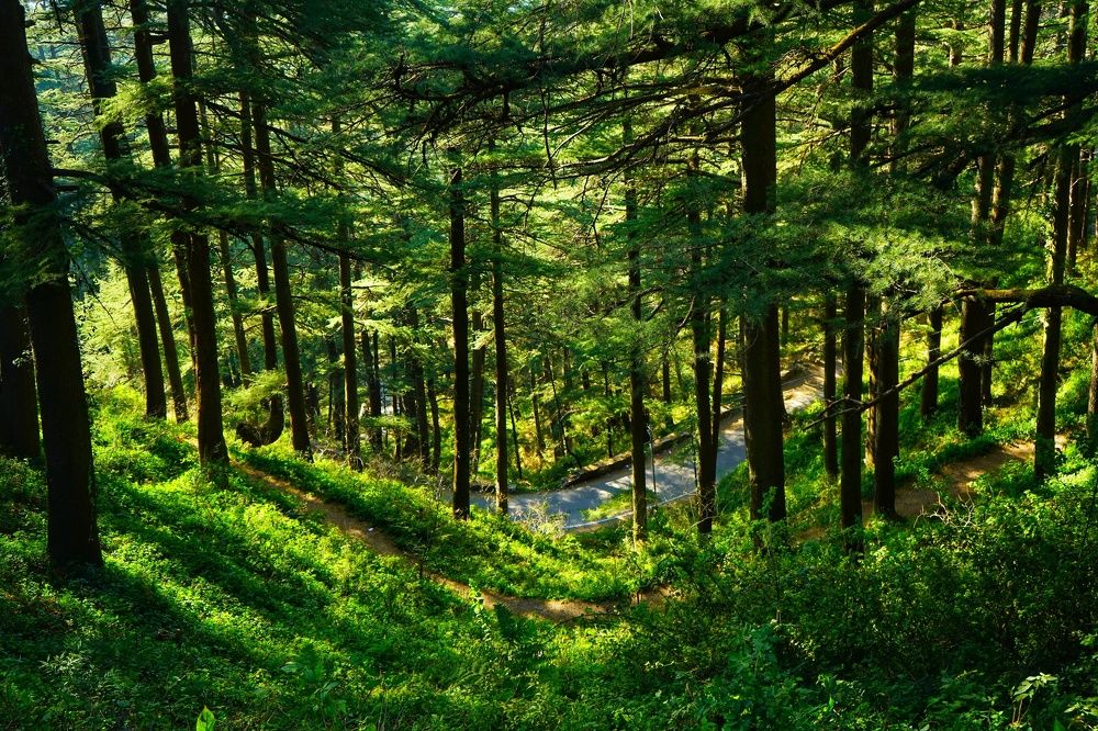 Photograph by TARUN KUMAR